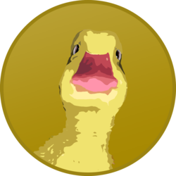 Jelli
