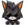 daCat